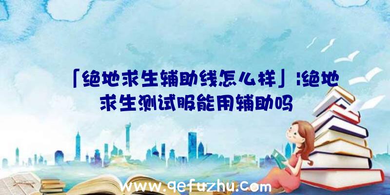 「绝地求生辅助线怎么样」|绝地求生测试服能用辅助吗
